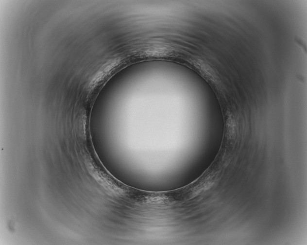 X0000101220446200807071351
