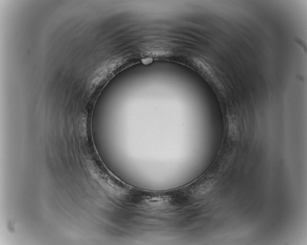 X0000101220447200807071351