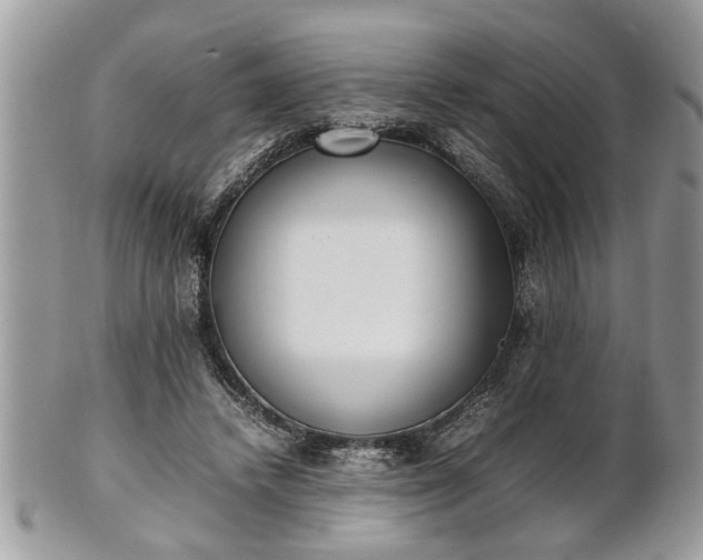 X0000101220448200807071351