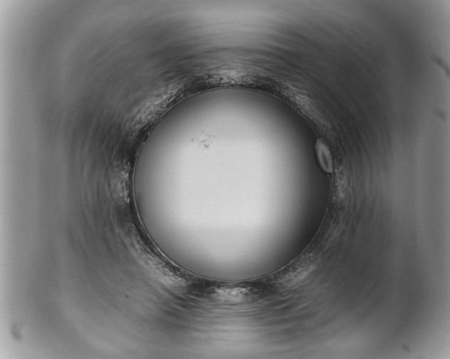 X0000101220450200807071351