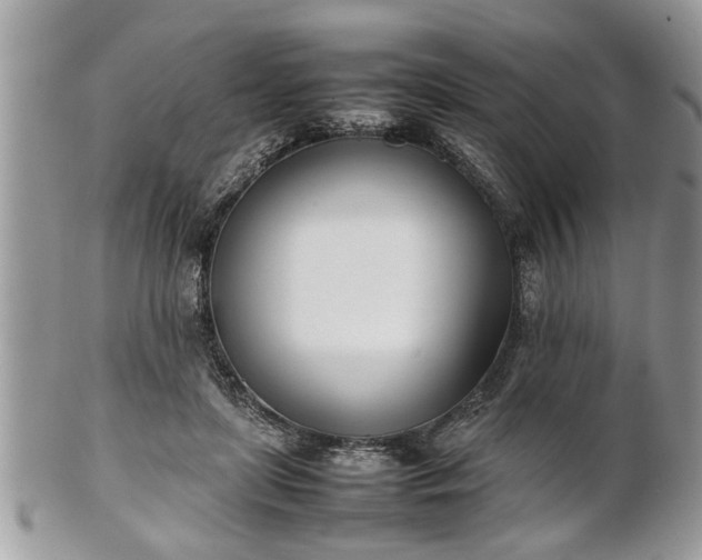 X0000101220451200807071351