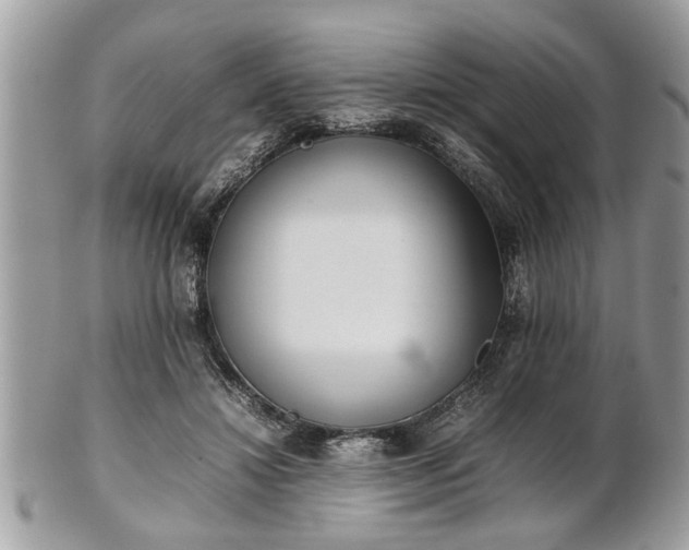 X0000101220452200807071351