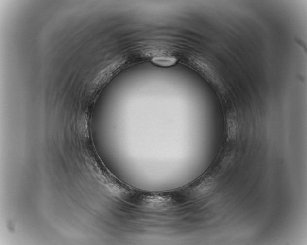 X0000101220453200807071351