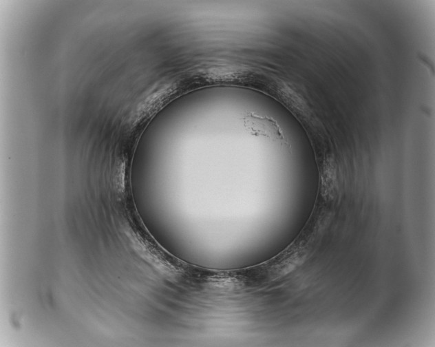 X0000101220454200807071351