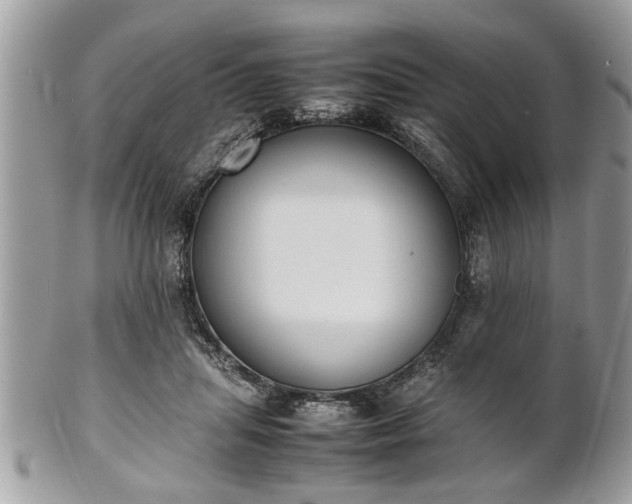 X0000101220455200807071352