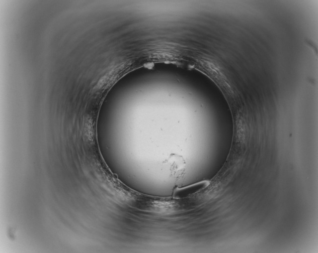 X0000101220457200807071352