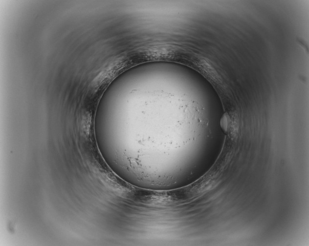 X0000101220458200807071352
