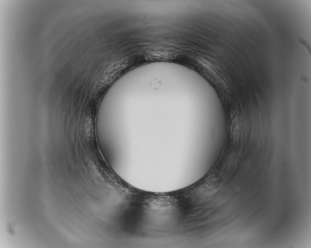 X0000101220459200807071352