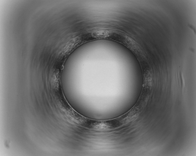 X0000101220460200807071352