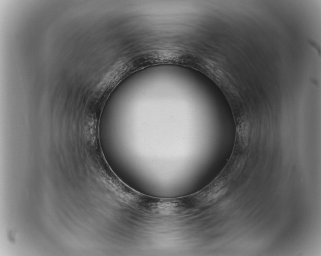 X0000101220462200807071352