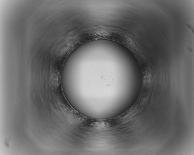 X0000101220464200807071352
