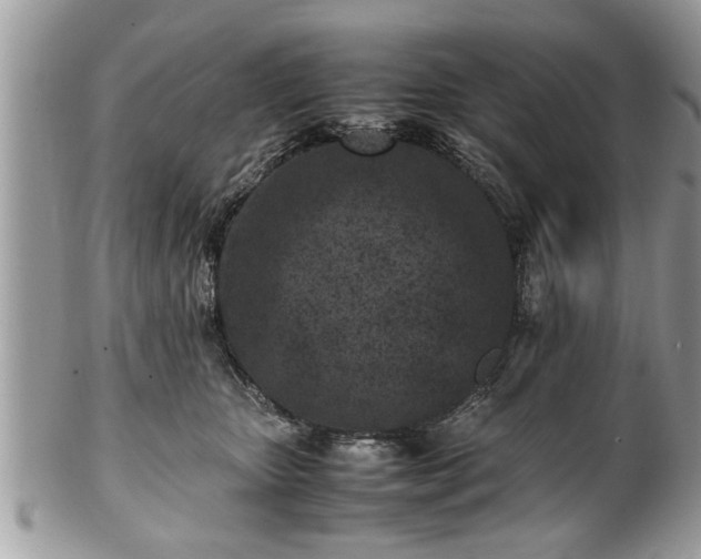 X0000101220467200807071352