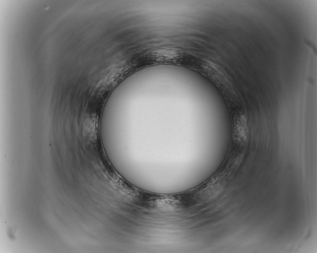 X0000101220468200807071352