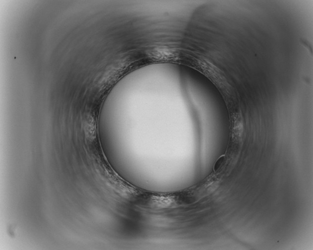 X0000101220469200807071352