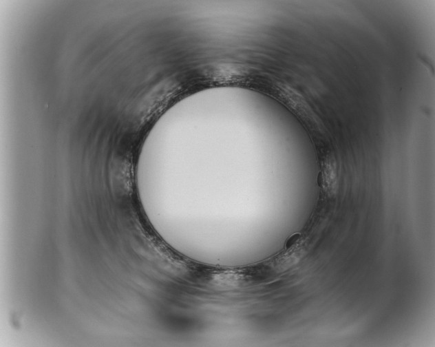 X0000101220470200807071352