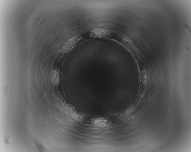 X0000101220471200807071352