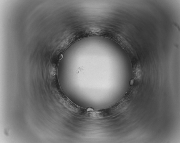 X0000101220472200807071352
