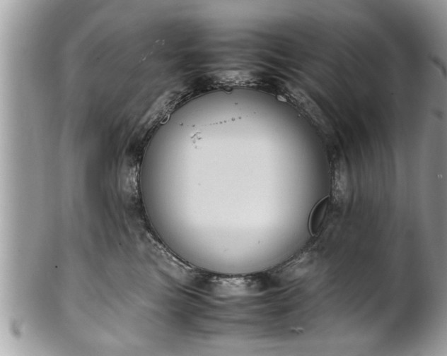 X0000101220473200807071352