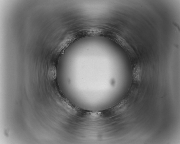 X0000101220474200807071352