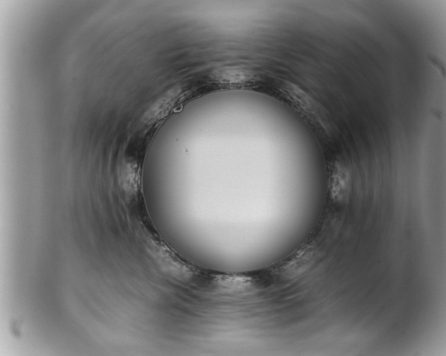 X0000101220476200807071352