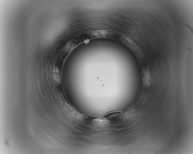 X0000101220477200807071352