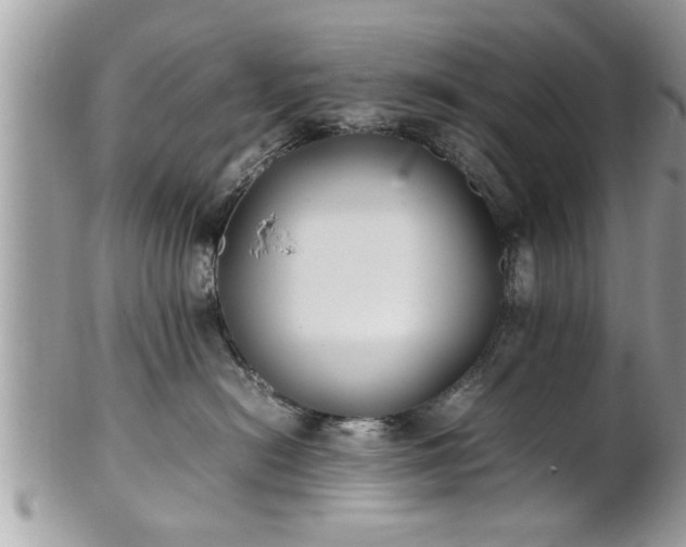 X0000101220478200807071352
