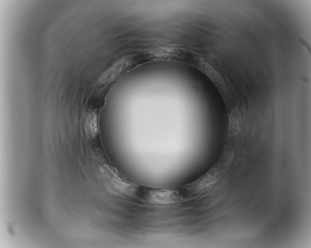 X0000101220479200807071352