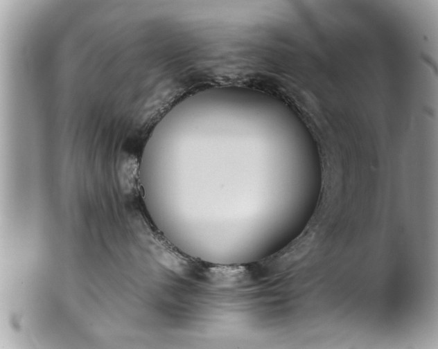 X0000101220480200807071352