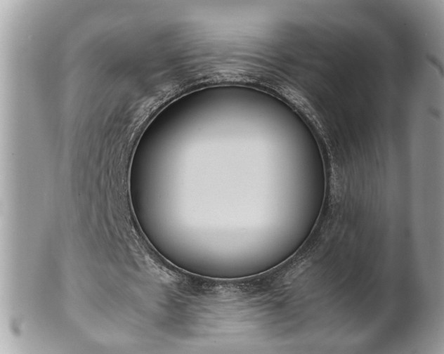 X0000101220481200807071351