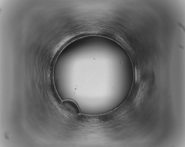X0000101220483200807071351