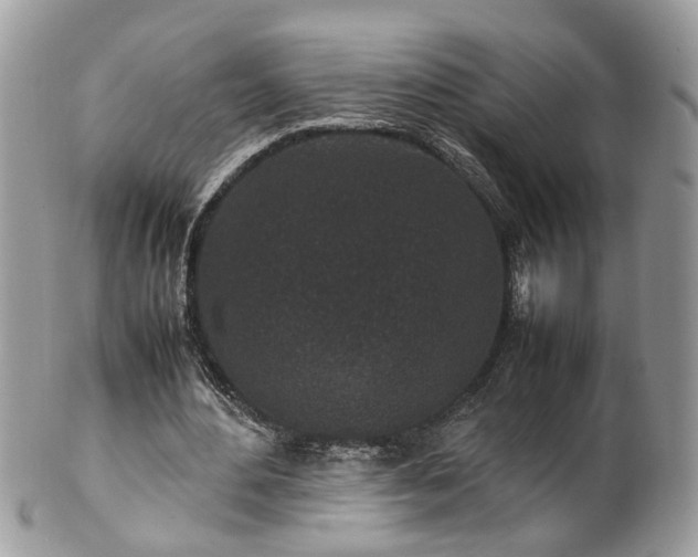 X0000101220484200807071351