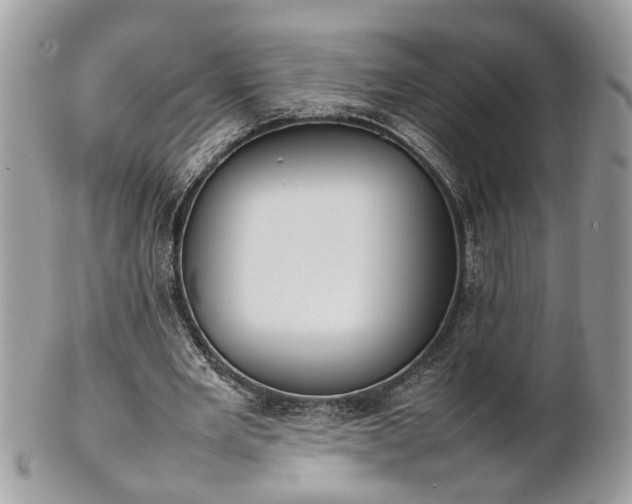 X0000101220485200807071351