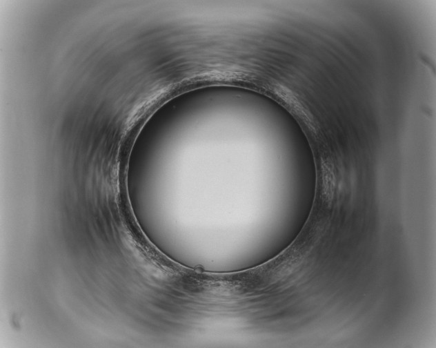 X0000101220486200807071351