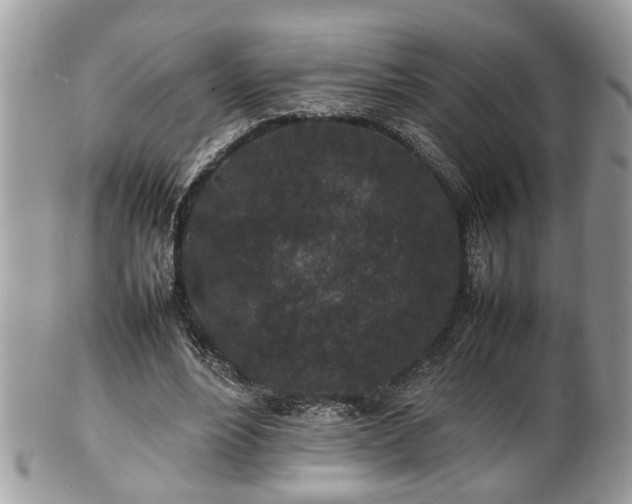X0000101220488200807071351