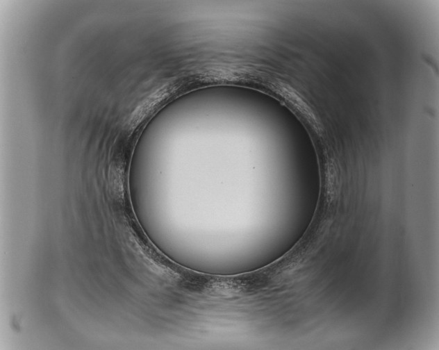 X0000101220489200807071351
