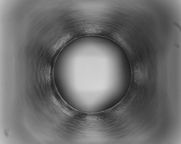 X0000101220490200807071351