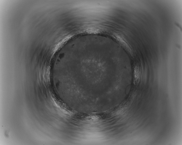 X0000101220492200807071351