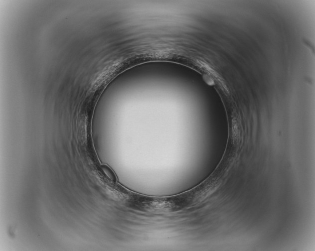 X0000101220493200807071351