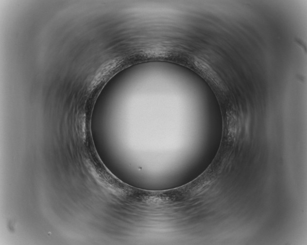 X0000101220494200807071351
