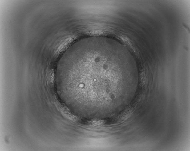X0000101220495200807071351