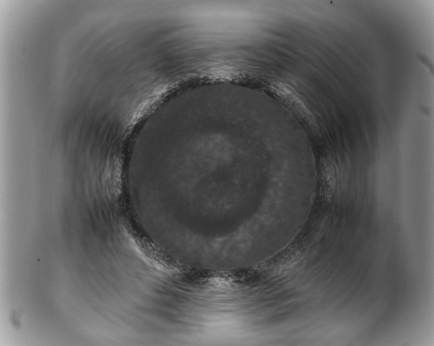 X0000101220496200807071351