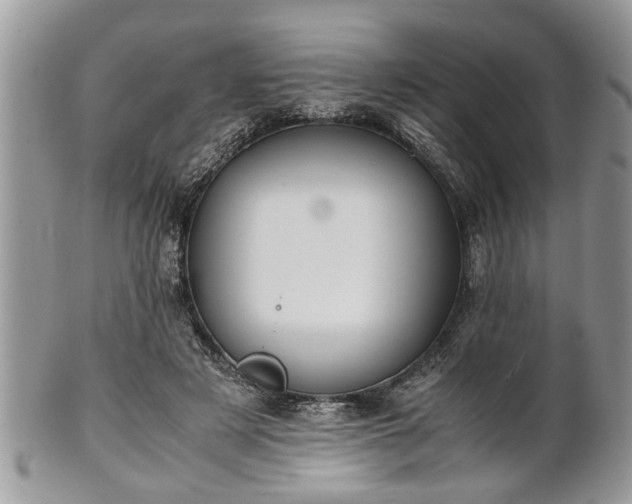 X0000101220497200807071351