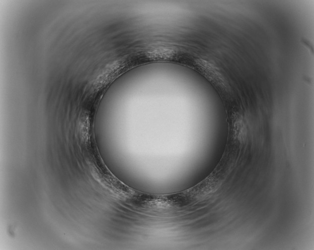 X0000101220498200807071351