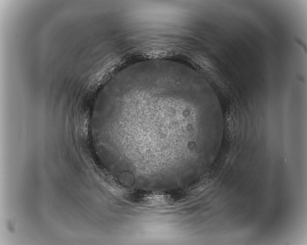 X0000101220499200807071351