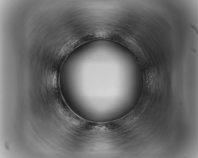 X0000101220502200807071351