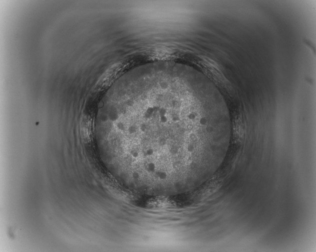 X0000101220503200807071351