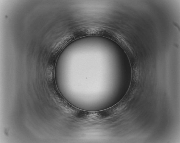 X0000101220505200807071351