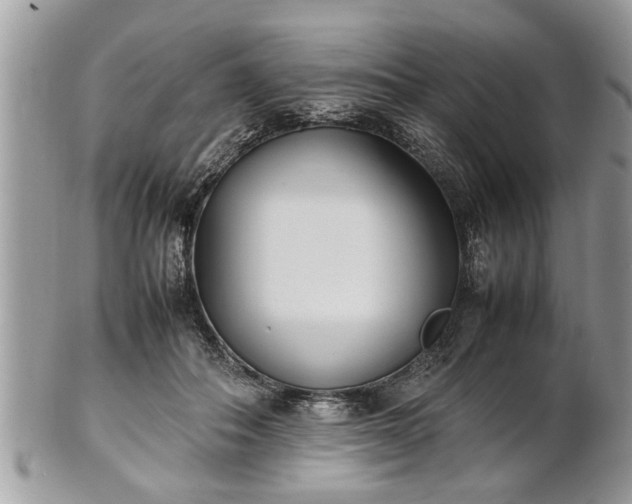 X0000101220506200807071351