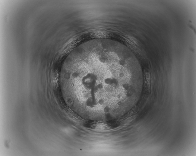 X0000101220507200807071351