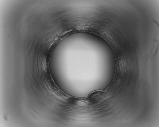 X0000101220508200807071351